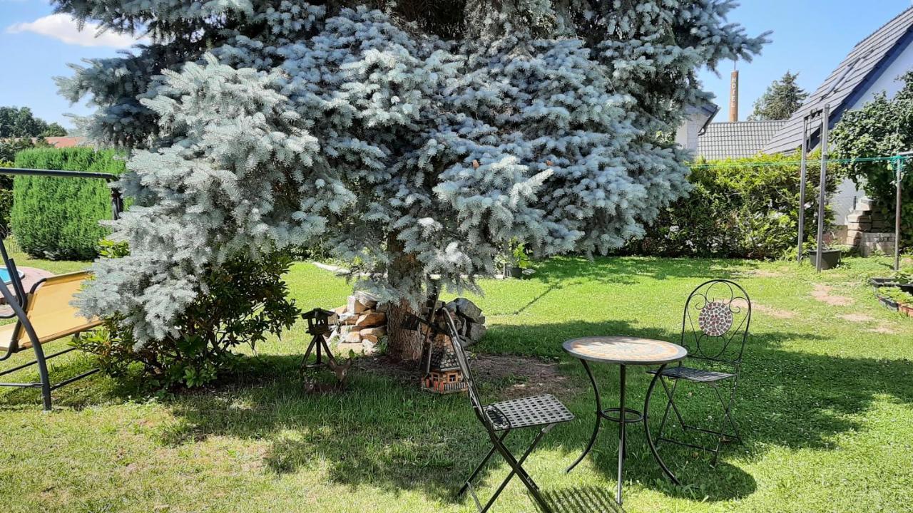 Ferienwohnung Koenig Niedergurig Bei Bautzen Malschwitz Eksteriør bilde